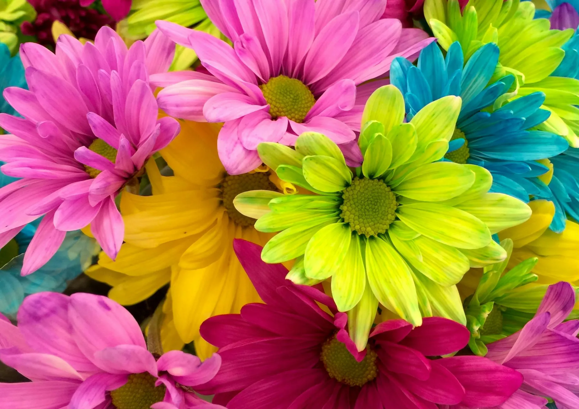 Astuces pour un massif de fleurs durable et attrayant
