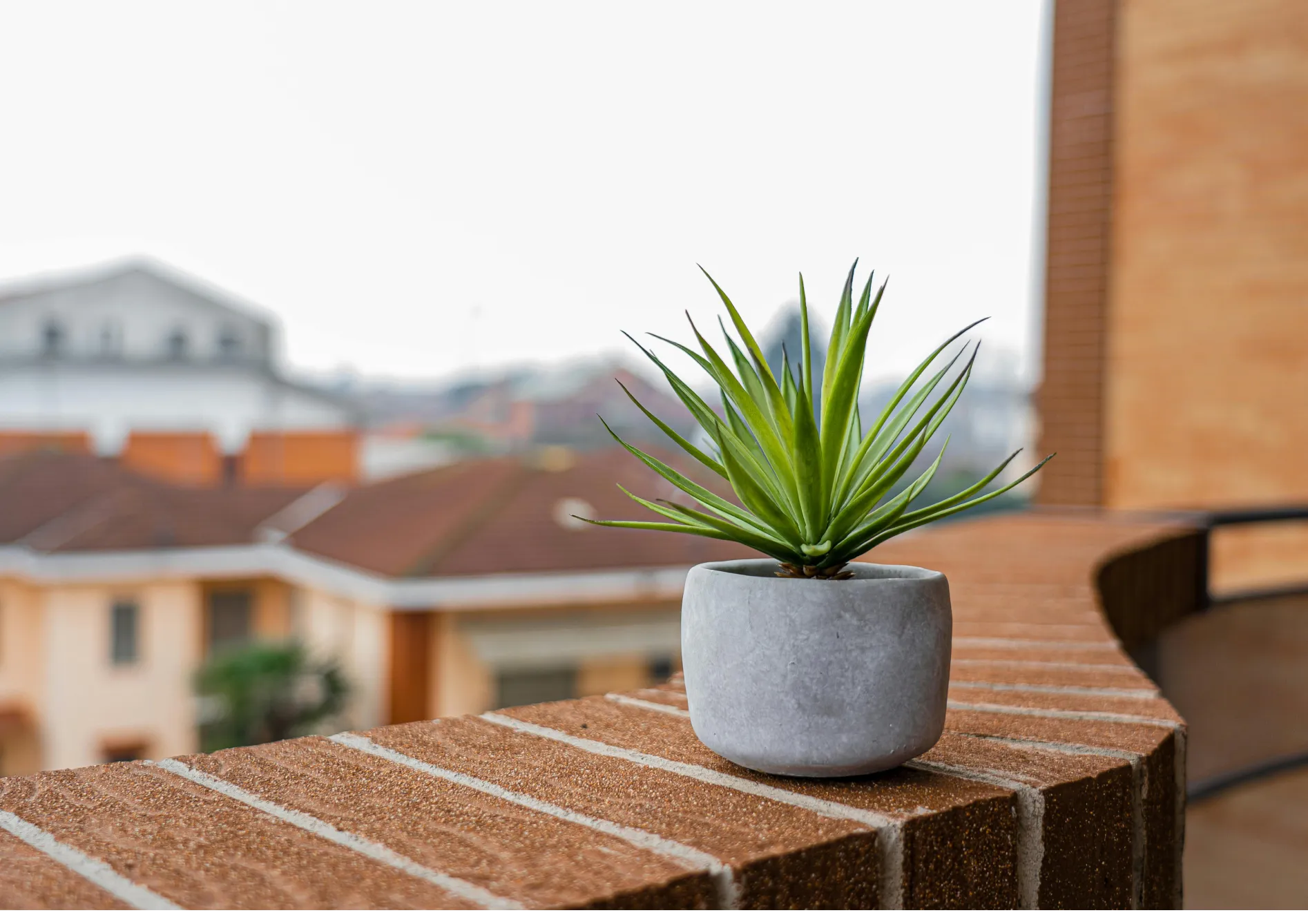 Conseils pour entretenir un balcon fleuri