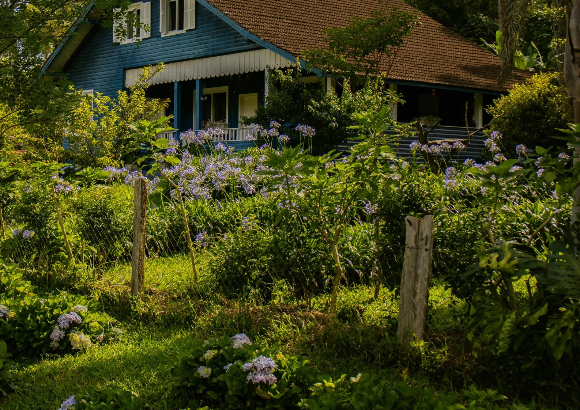 Entretien d’un jardin de rocaille