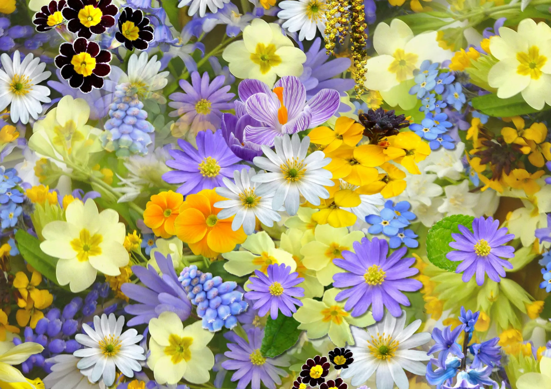 Entretien d’un massif de fleurs durable