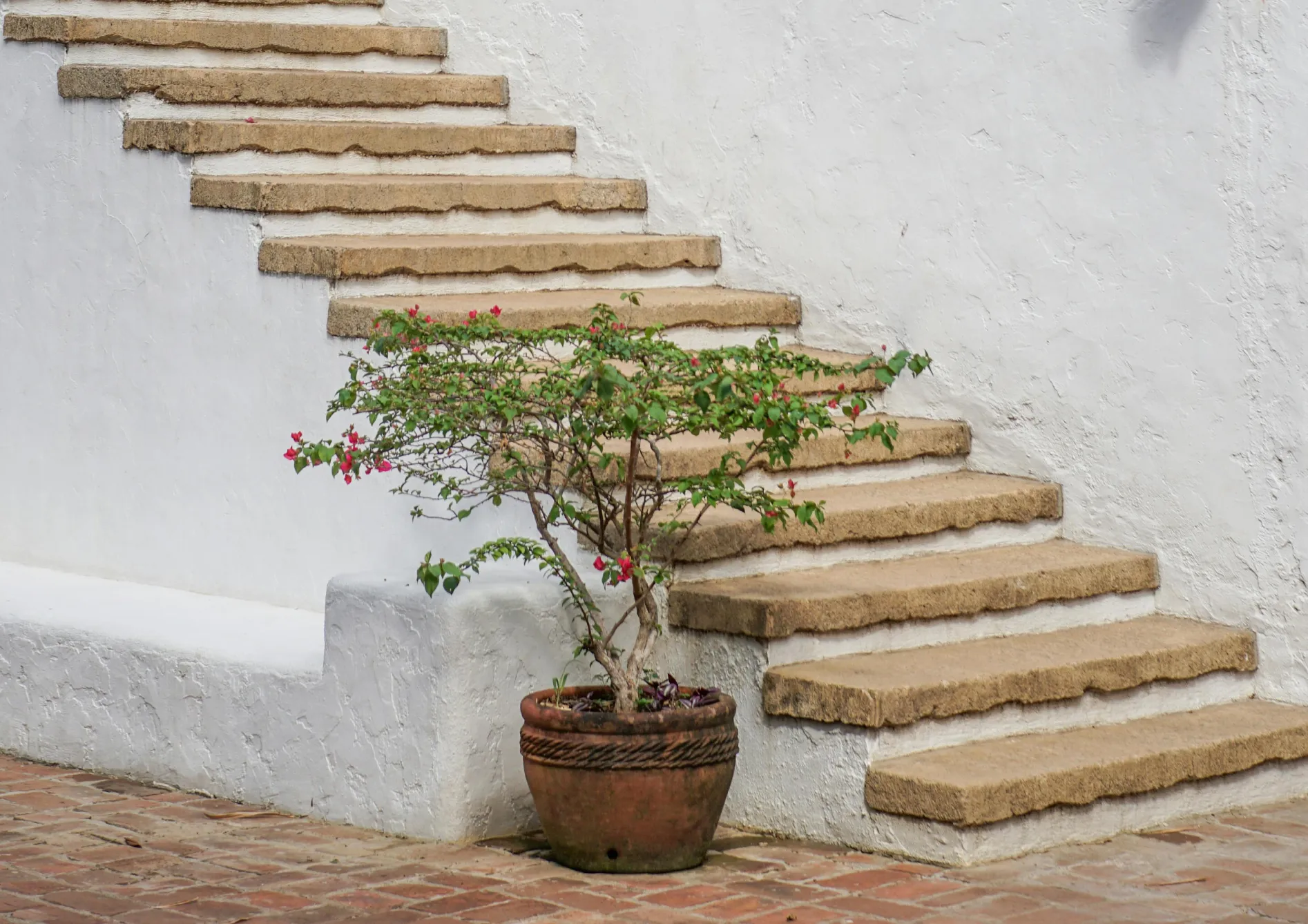 Les éléments essentiels pour un jardin méditerranéen