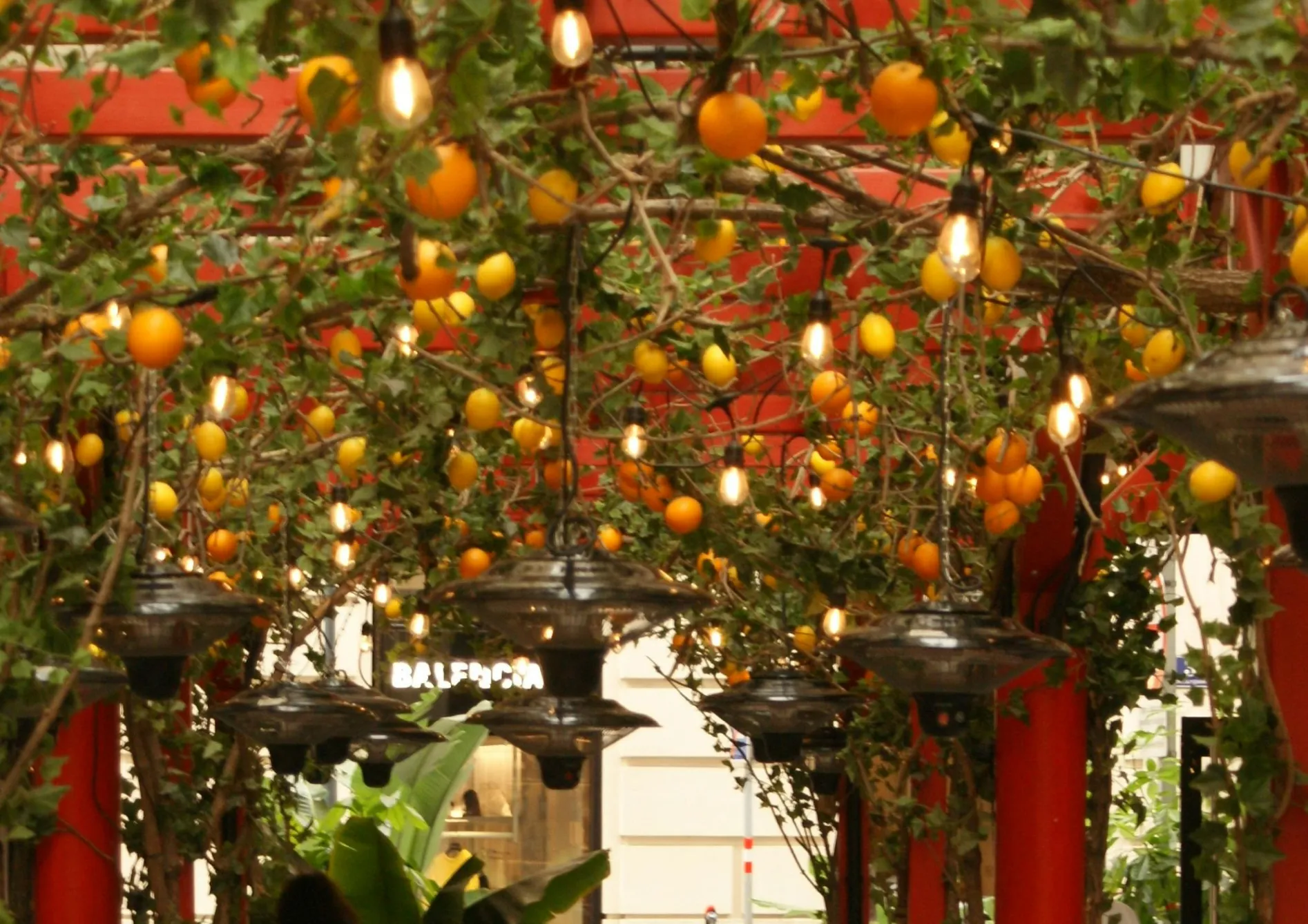 Entretenir une pergola fruitière