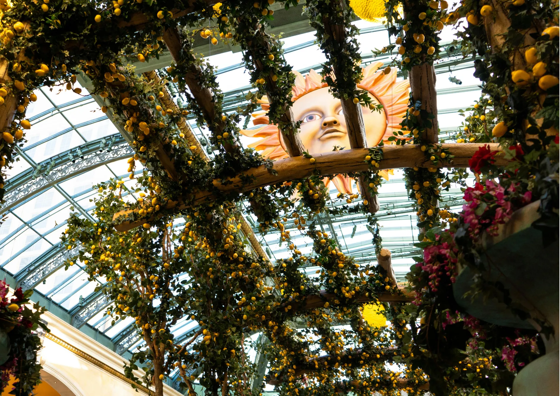 Pourquoi créer une pergola fruitière ?