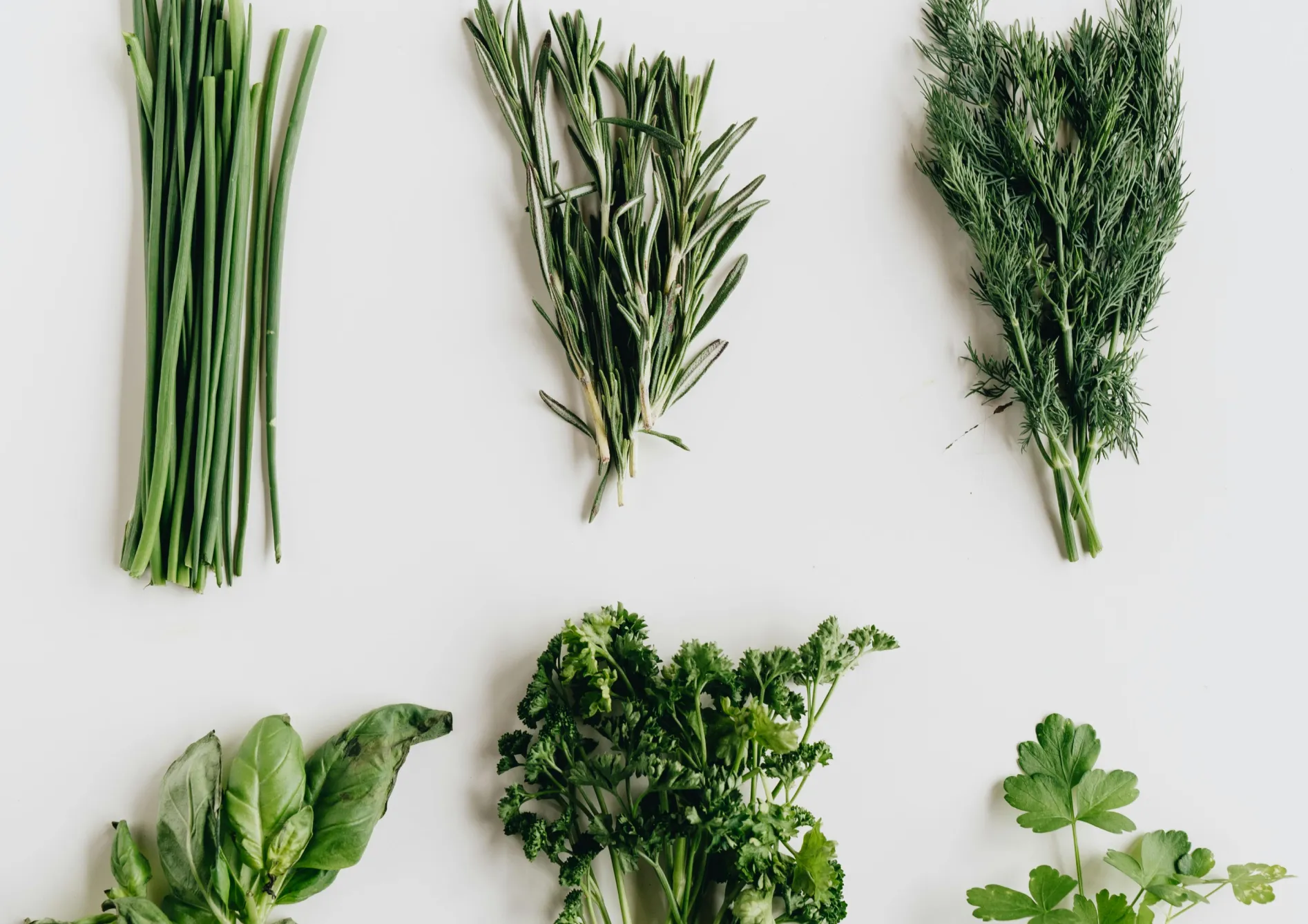 Conseils pour réussir la culture des plantes aromatiques en pot