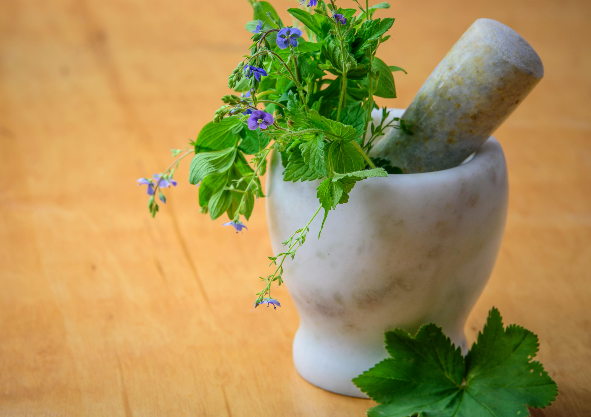 Pourquoi cultiver des herbes aromatiques en pot ?