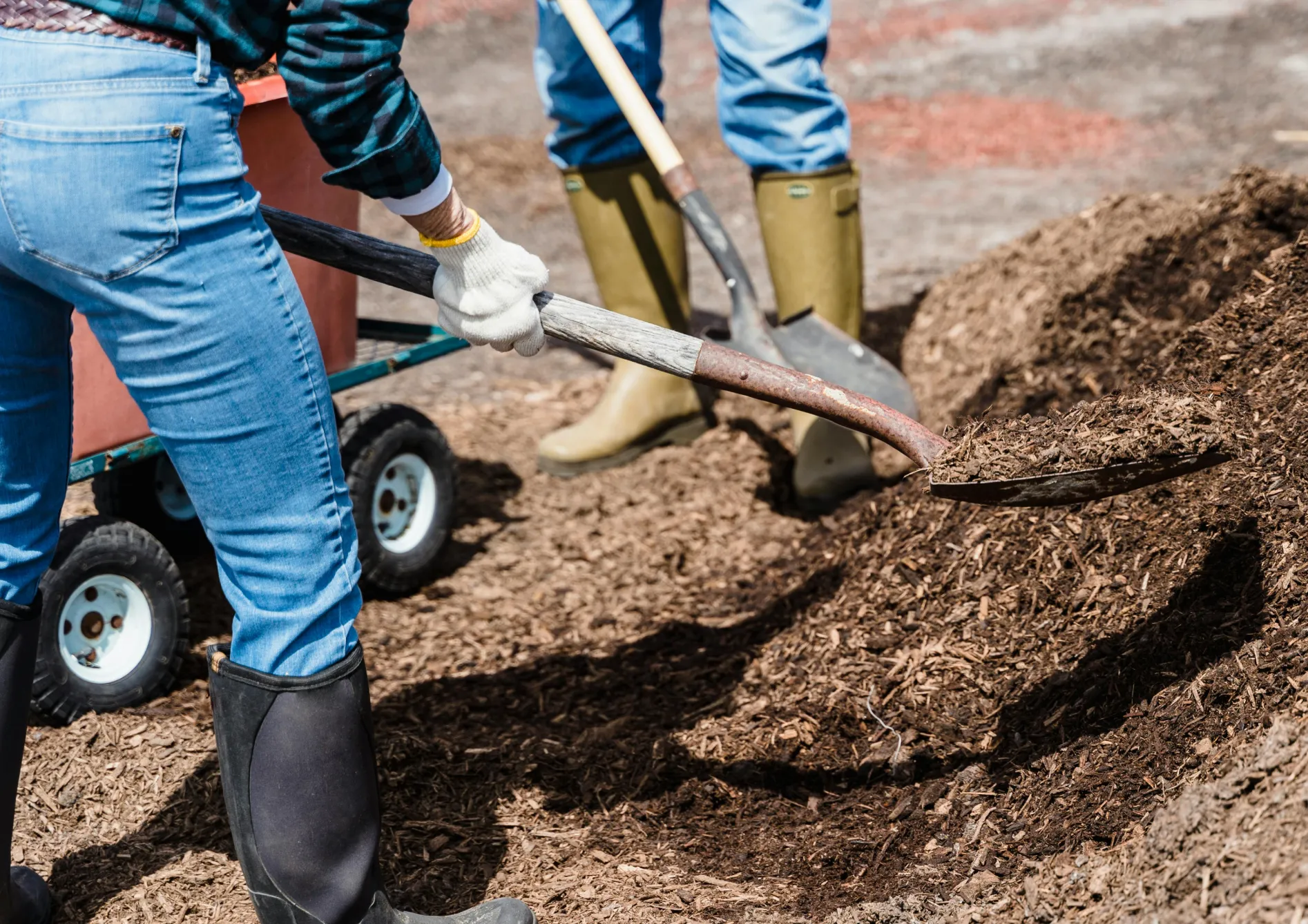 Conseils pour prolonger la floraison dans votre jardin